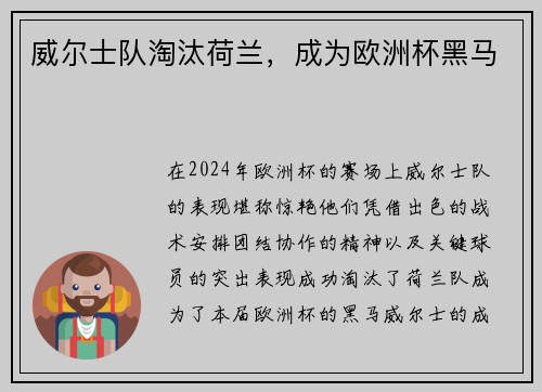 威尔士队淘汰荷兰，成为欧洲杯黑马