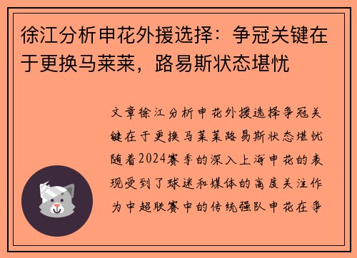 徐江分析申花外援选择：争冠关键在于更换马莱莱，路易斯状态堪忧