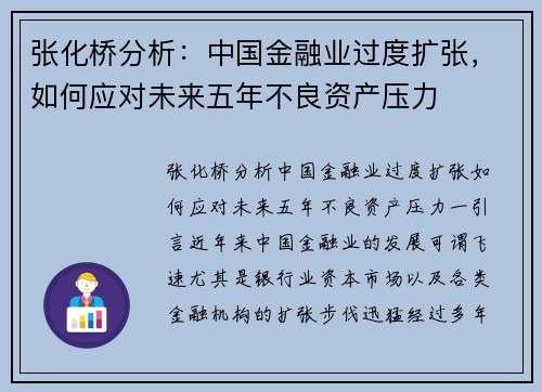张化桥分析：中国金融业过度扩张，如何应对未来五年不良资产压力